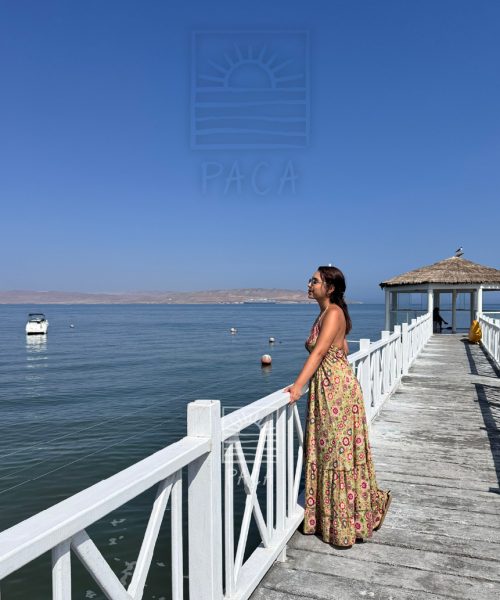 WEB_DepaSotavento026-100